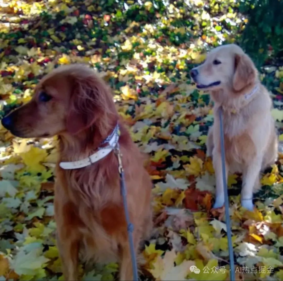 今日全球AI资讯汇总——2025年5月16日