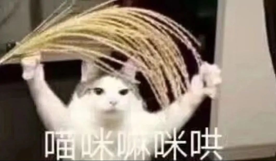单GPU搞定高清长视频生成,效率×10!引入Mamba机制突破DiT瓶颈 | 普林斯顿&Meta